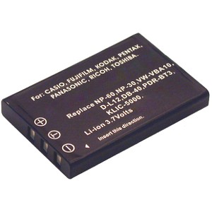 EasyShare DX7590 Battery