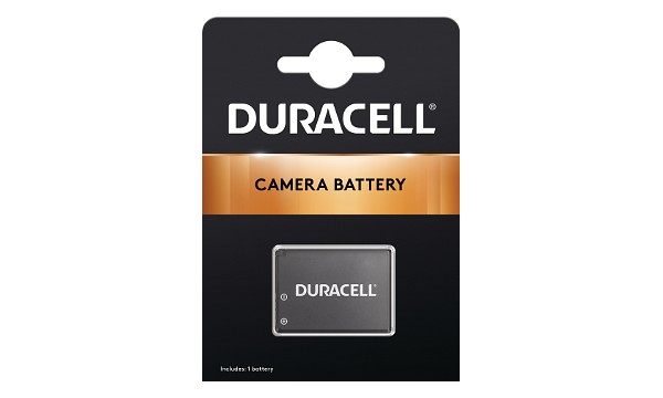 Lumix DMC-TZ30 Battery