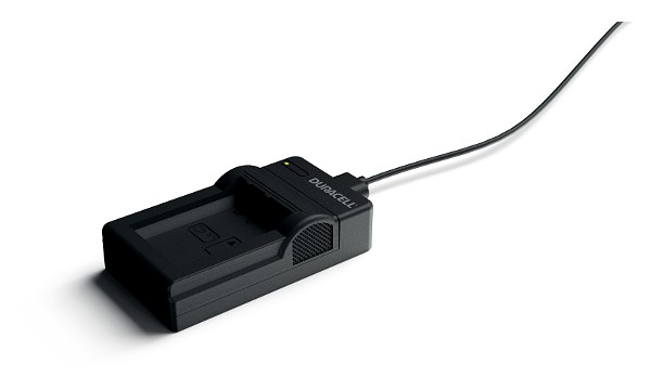 Alpha 6100 Charger