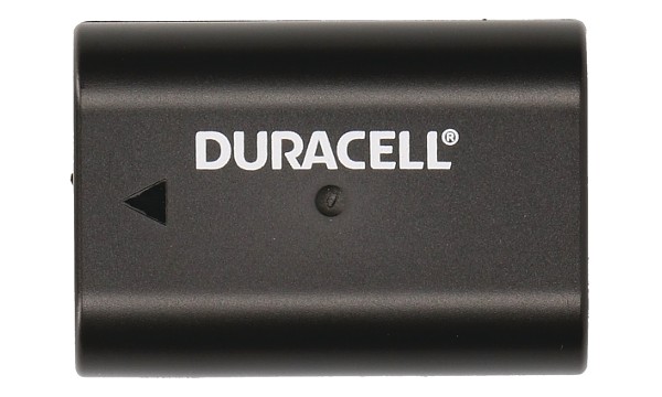 DMW-BLF19E Battery (2 Cells)